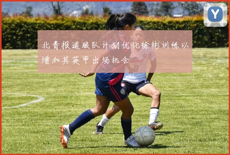 北青报道狼队计划优化徐彬训练以增加其英甲出场机会